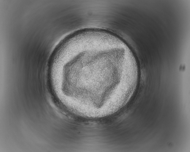 X0000112160580200909041129