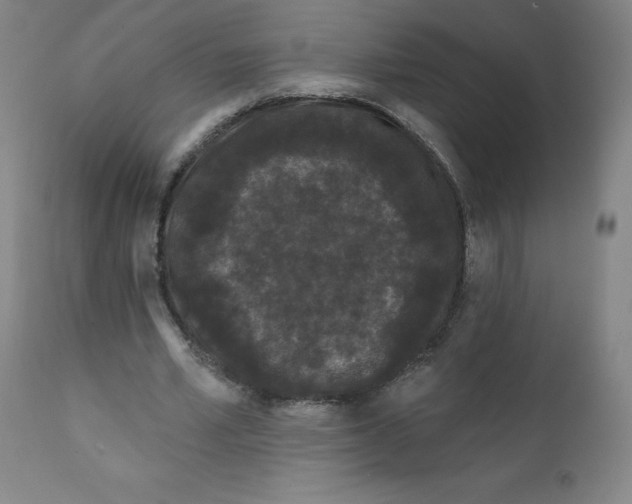 X0000112160581200909041129