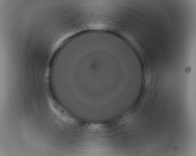 X0000112160583200909041129