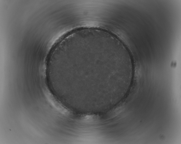 X0000112160584200909041129