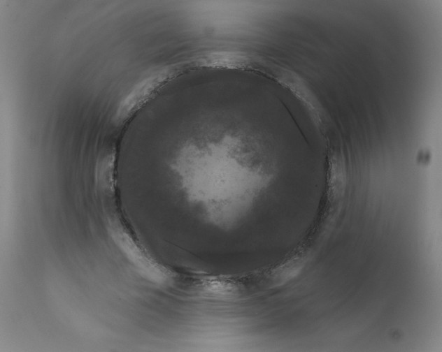 X0000112160585200909041129