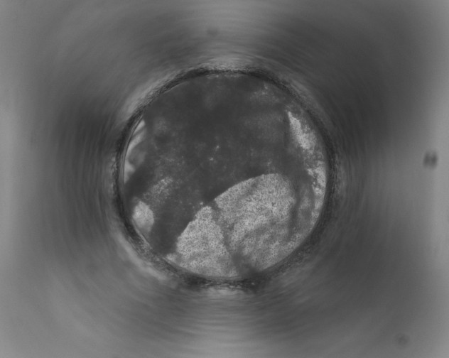 X0000112160586200909041129