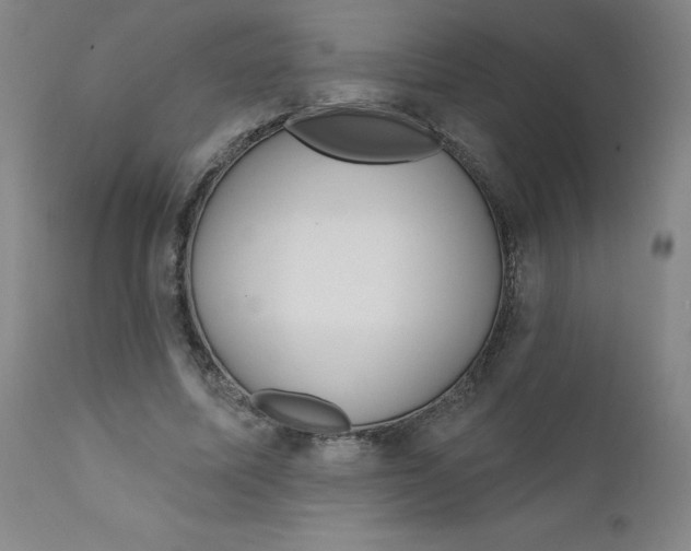 X0000112160587200909041129