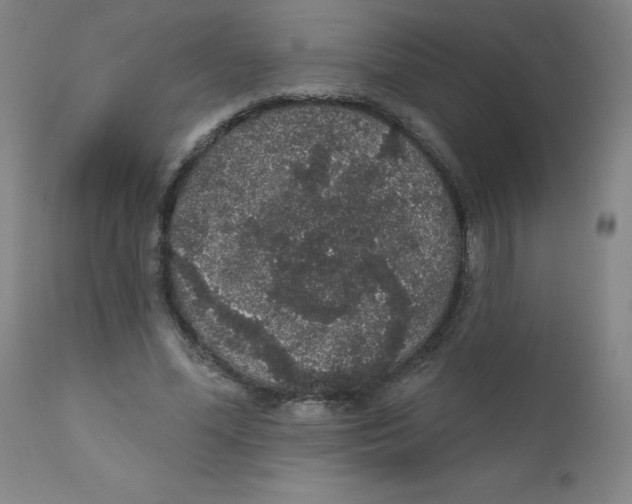 X0000112160588200909041129