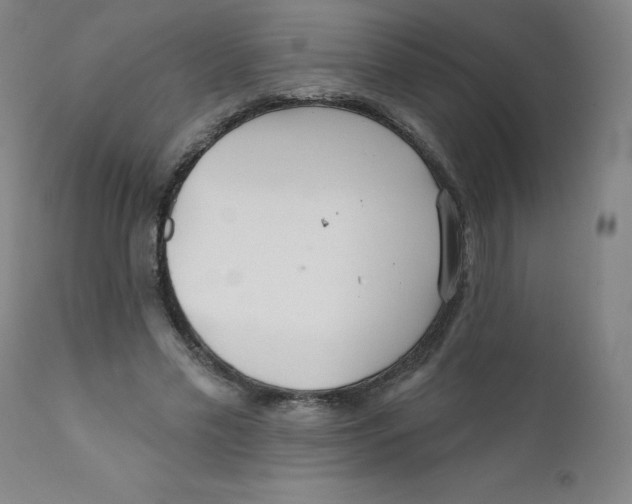 X0000112160589200909041129