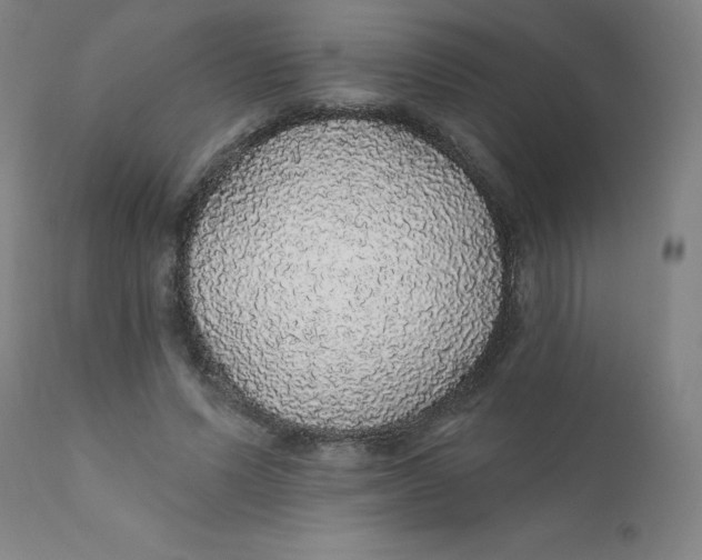 X0000112160591200909041129