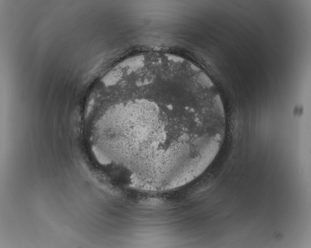 X0000112160594200909041129