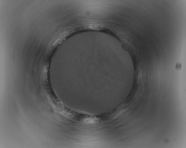 X0000112160595200909041128