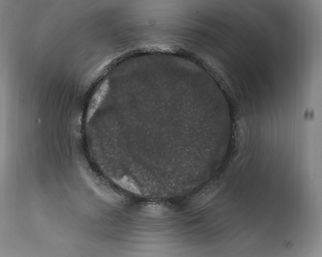 X0000112160596200909041128