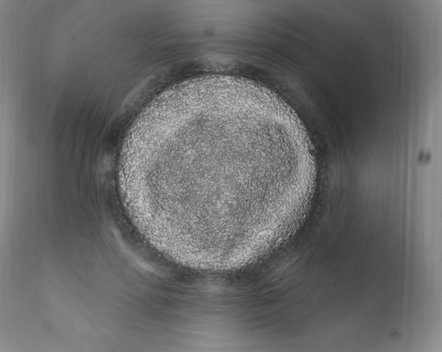 X0000112160598200909041128