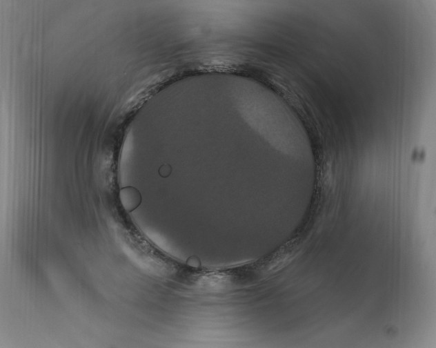 X0000112160599200909041128