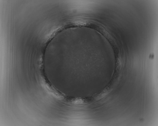 X0000112160600200909041128