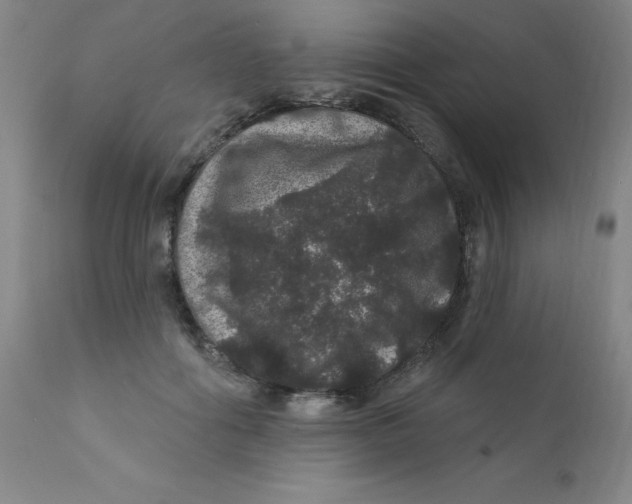 X0000112160602200909041128