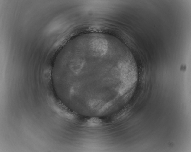 X0000112160603200909041128