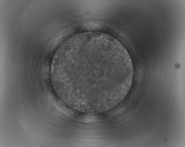 X0000112160604200909041128