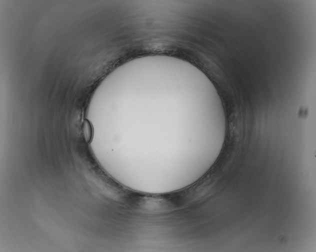 X0000112160605200909041128