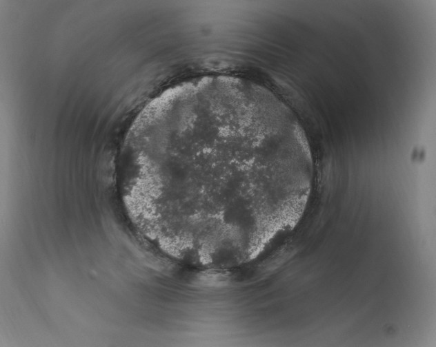 X0000112160606200909041128