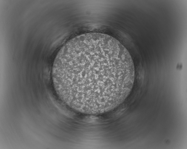 X0000112160607200909041128