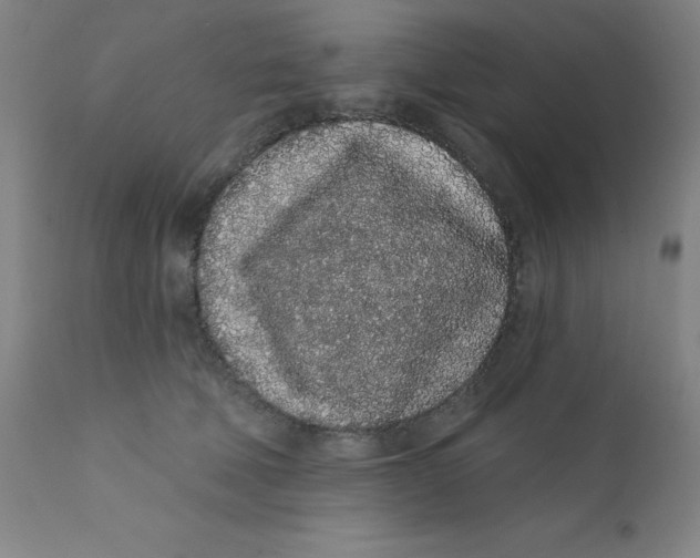 X0000112160610200909041128