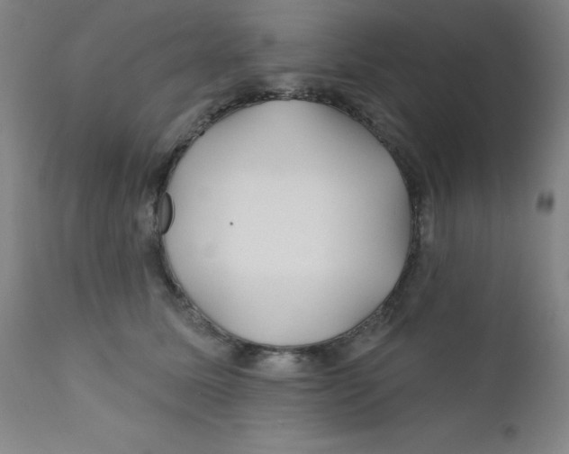 X0000112160611200909041128
