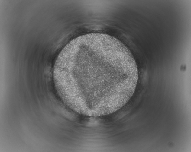 X0000112160612200909041128