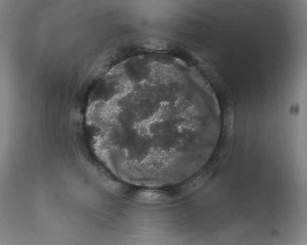 X0000112160614200909041128