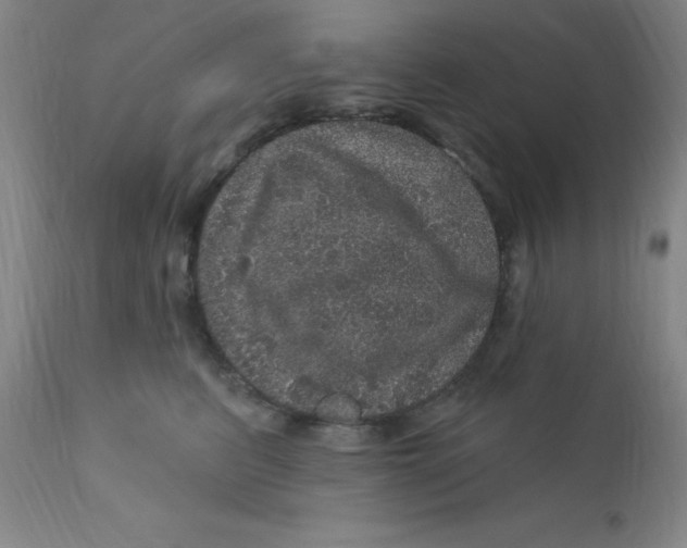 X0000112160615200909041128