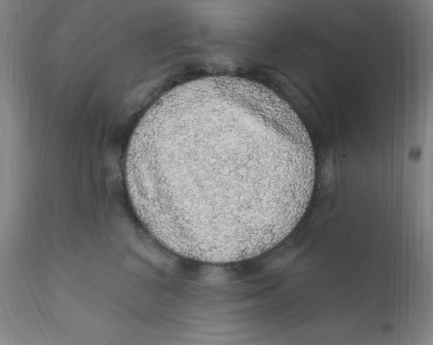 X0000112160616200909041128
