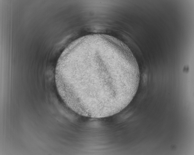 X0000112160620200909041128