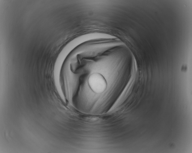 X0000112160621200909041128