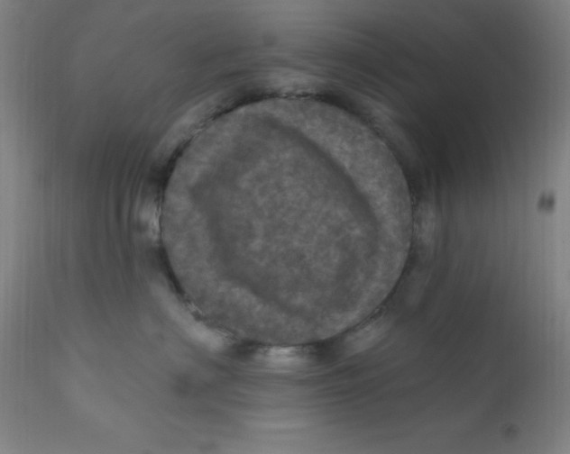 X0000112160622200909041128