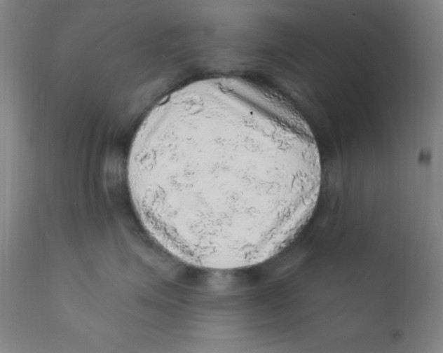X0000112160623200909041128