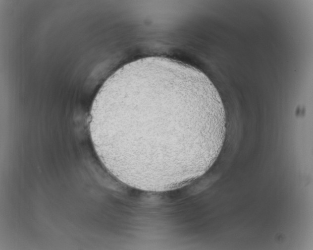 X0000112160624200909041128
