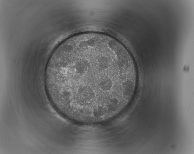 X0000112160625200909041127