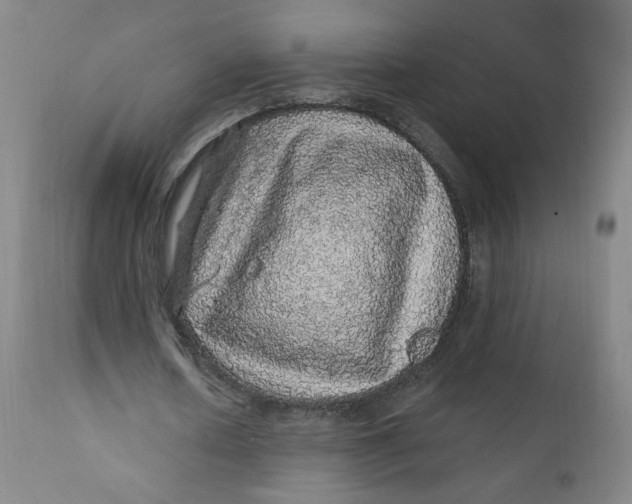 X0000112160626200909041127