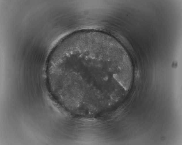 X0000112160628200909041127