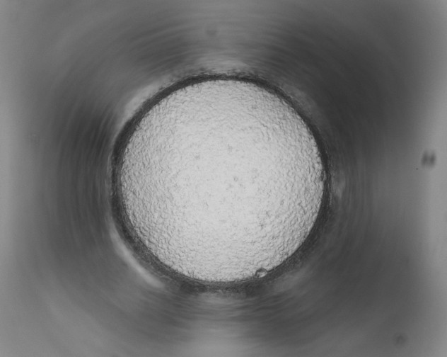 X0000112160630200909041127