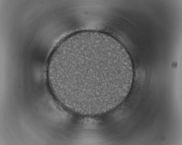 X0000112160632200909041127