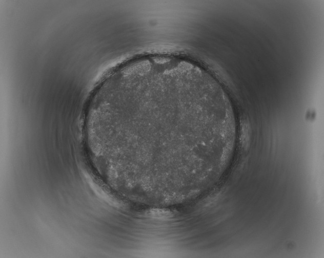X0000112160636200909041127