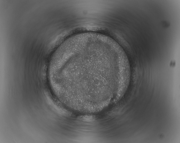 X0000112160639200909041127