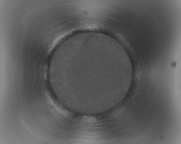 X0000112160640200909041127