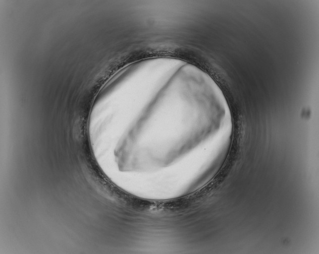 X0000112160641200909041127
