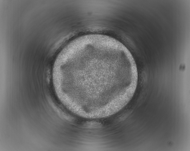X0000112160644200909041127