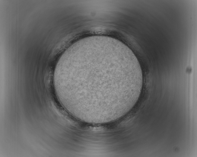 X0000112160645200909041127