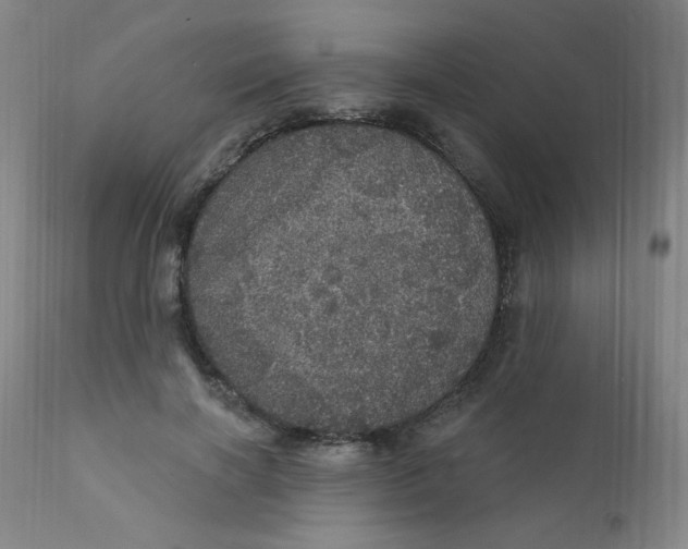 X0000112160646200909041128