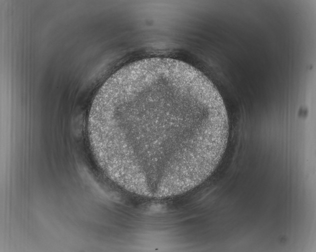 X0000112160647200909041128