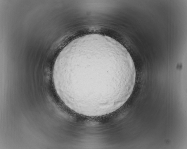 X0000112160648200909041128