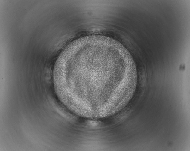X0000112160654200909041128