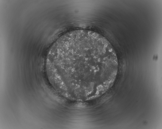 X0000112160656200909041128
