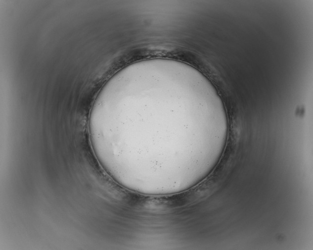 X0000112160657200909041128